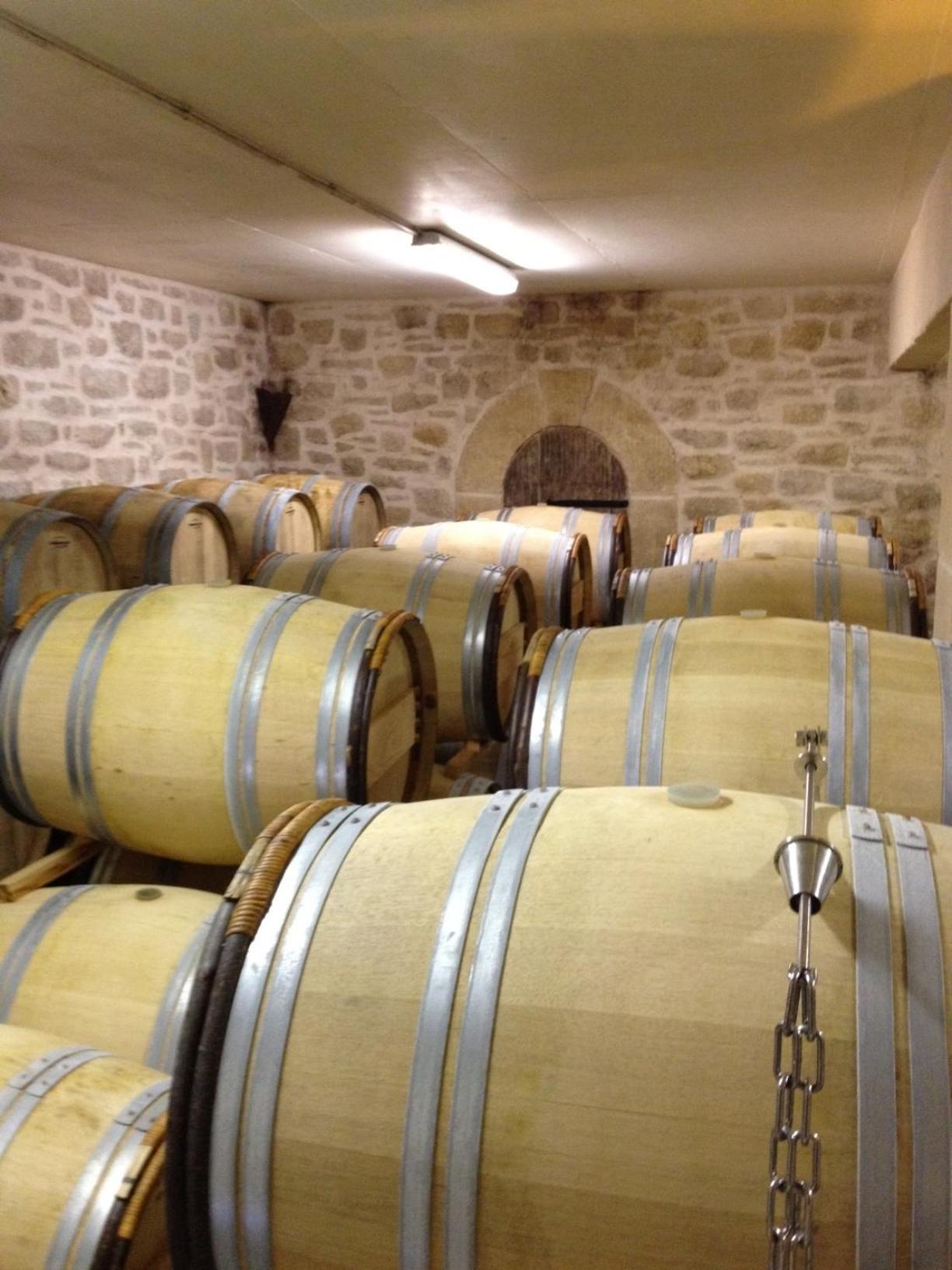 Chateau De Valloubiere Saint-Jean-de-Fos Экстерьер фото