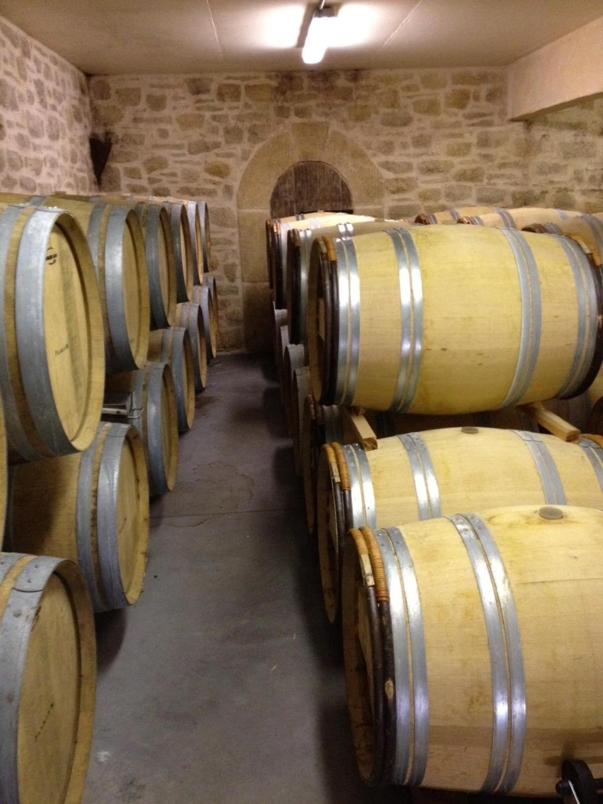 Chateau De Valloubiere Saint-Jean-de-Fos Экстерьер фото